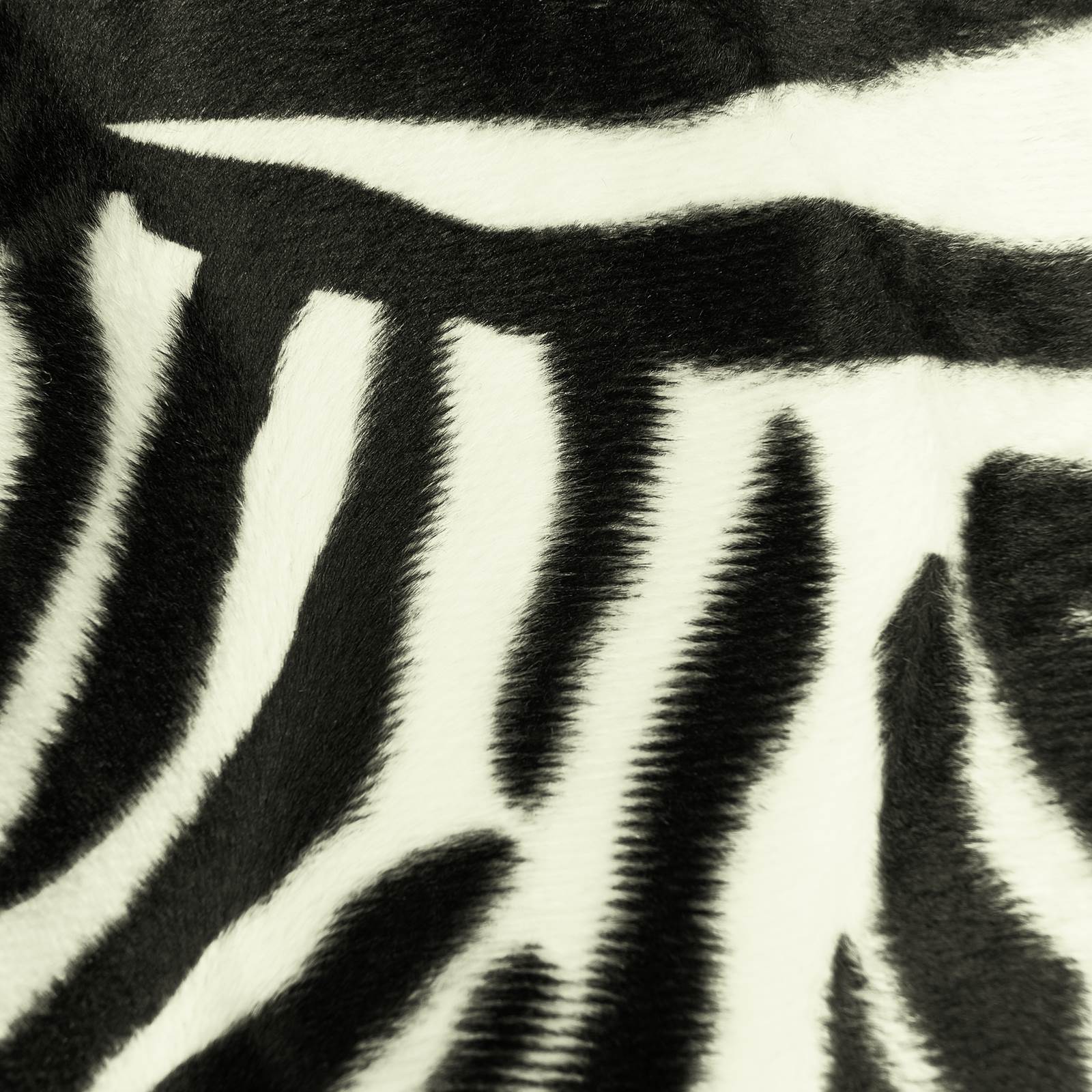 Zebra fausse fourrure (par 10 cm)